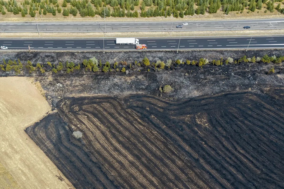Ankara’da otluk ve ormanlık alanda çıkan yangın söndürüldü Ankara’da otluk ve ormanlık alanda çıkan yangın söndürüldü