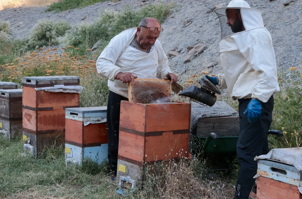 Ordulu arıcı 50 yıldır Hakkari’nin dağlarında bal üretiyor Ordulu arıcı 50 yıldır Hakkari’nin dağlarında bal üretiyor