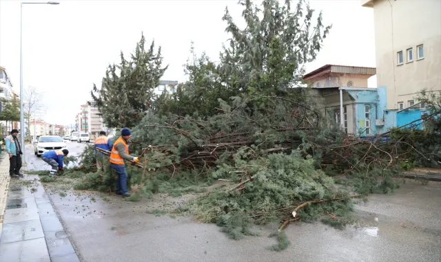 Ankara Çubuk’ta kuvvetli rüzgar nedeniyle ağaç otomobilin üzerine devrildi