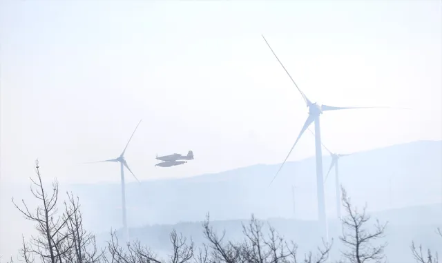 Çanakkale’nin Gelibolu ilçesindeki orman yangını kontrol altına alındı