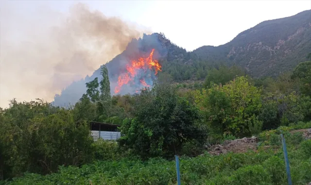Hatay Kırıkhan’da orman yangını çıktı Hatay Kırıkhan’da orman yangını çıktı