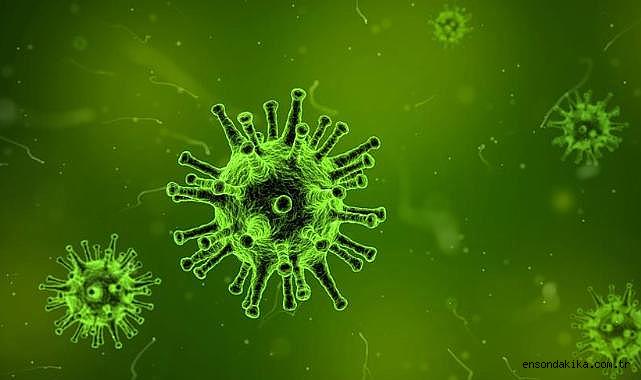 Hindistan, Nipah virüsüne karşı kapsamlı halk sağlığı önlemleri alıyor Hindistan, Nipah virüsüne karşı kapsamlı halk sağlığı önlemleri alıyor