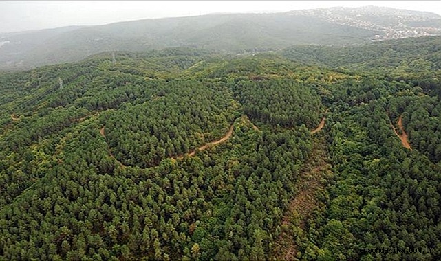 İş Bankası’nın 81 İlde 81 Orman projesi Antalya ile devam ediyor İş Bankası’nın 81 İlde 81 Orman projesi Antalya ile devam ediyor