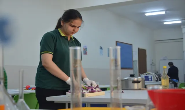 Bursa’da lise öğrencileri soğan ve ceviz kabuğundan mobilya boyası üretti Bursa’da lise öğrencileri soğan ve ceviz kabuğundan mobilya boyası üretti
