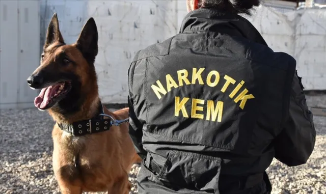 İstanbul polisinden Şişli’de narkotik denetimi İstanbul polisinden Şişli’de narkotik denetimi