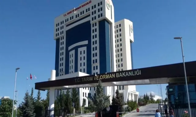Tarım ve Orman Bakanlığından orman yangınlarına ilişkin açıklama Tarım ve Orman Bakanlığından orman yangınlarına ilişkin açıklama