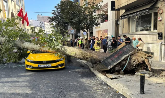 Şişli’de üzerine ağaç devrilen taksi ve otomobilde hasar oluştu (GÜNCELLEME) Şişli’de üzerine ağaç devrilen taksi ve otomobilde hasar oluştu (GÜNCELLEME)