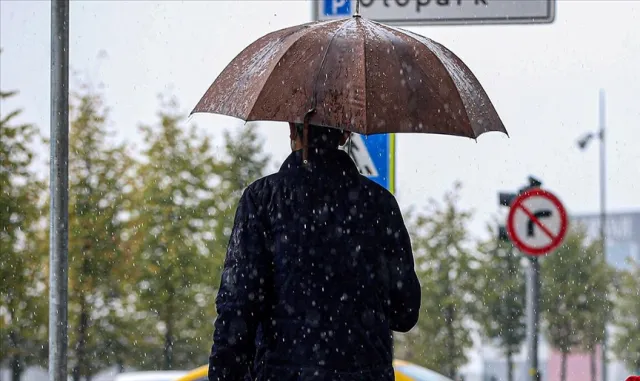 Hava durumu sunan çobana keçisinden beklenmedik müdahale Hava durumu sunan çobana keçisinden beklenmedik müdahale